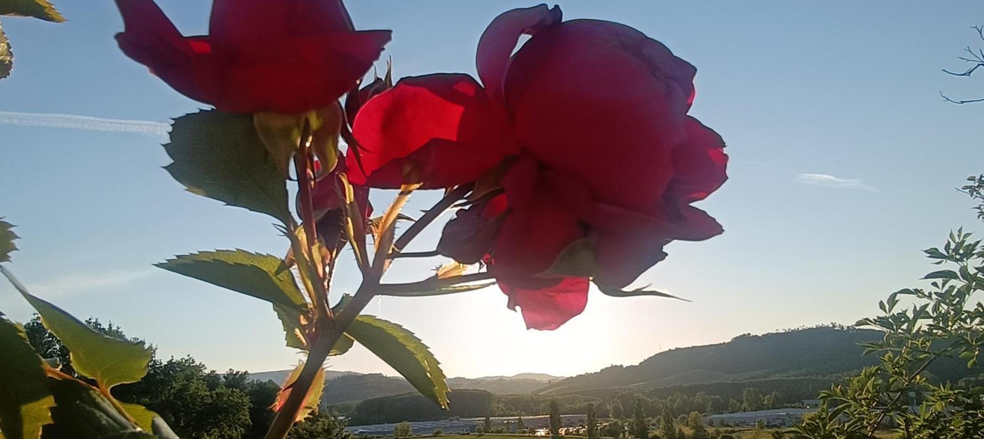 Vila Casa Orneto Poggibonsi Exteriér fotografie