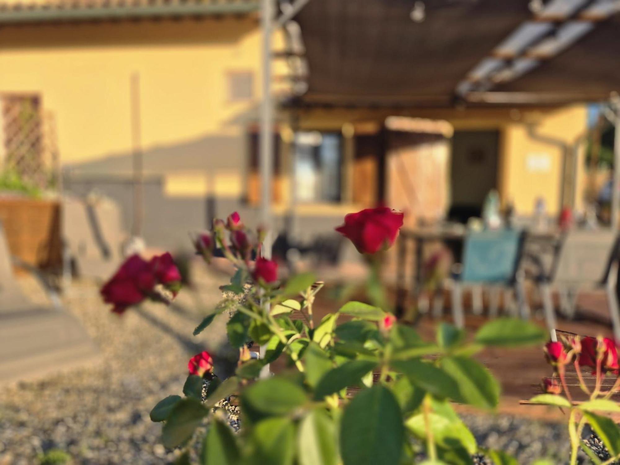 Vila Casa Orneto Poggibonsi Exteriér fotografie